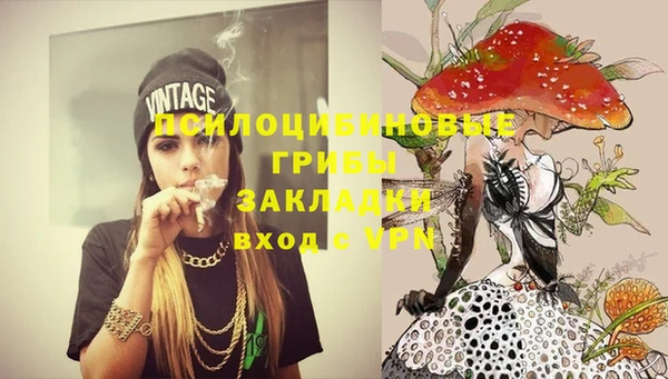 мяу мяу мука Баксан