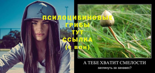 дурь Балахна
