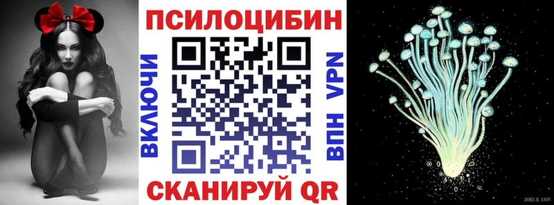 Галлюциногенные грибы Psilocybine cubensis  Купить  Аркадак 